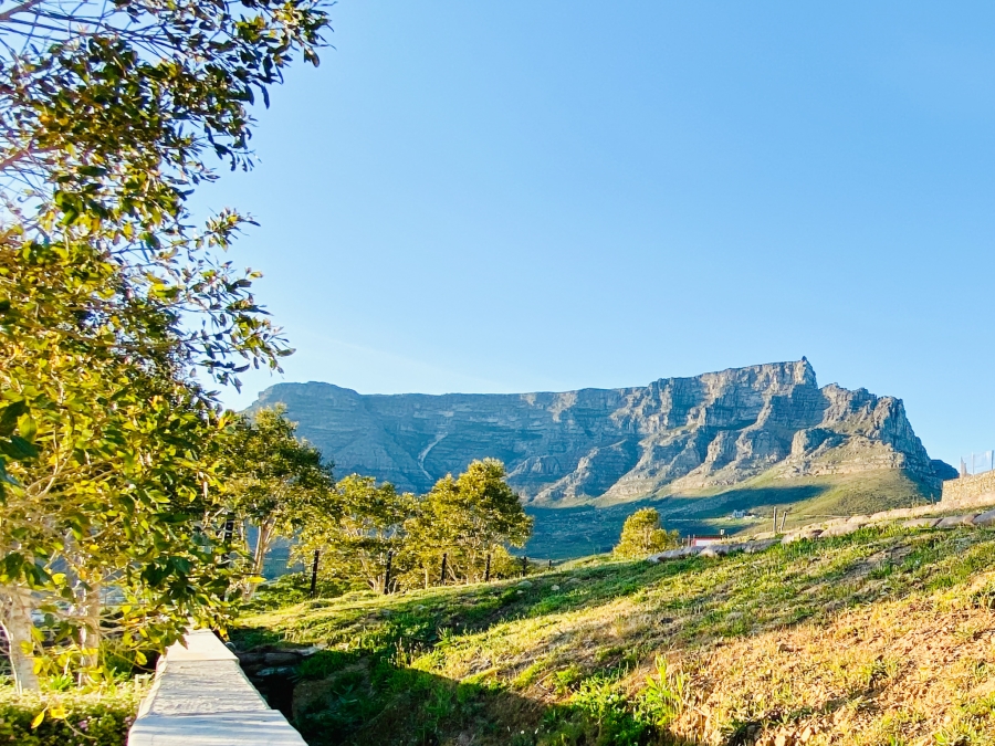 0 Bedroom Property for Sale in Tamboerskloof Western Cape
